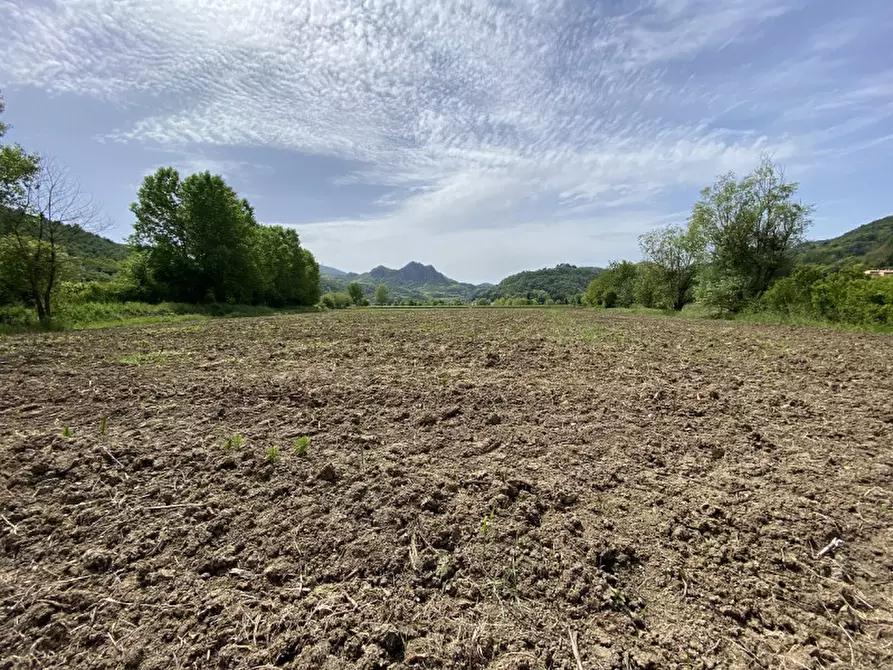 Immagine 2 di Terreno in vendita  a Teolo