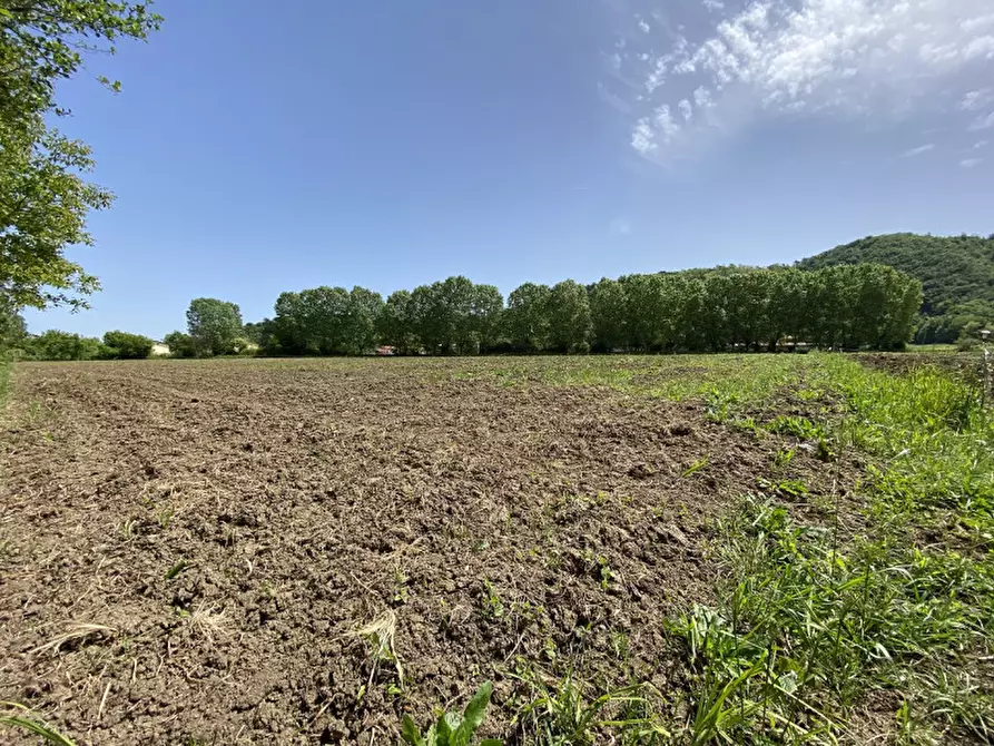 Immagine 4 di Terreno in vendita  a Teolo