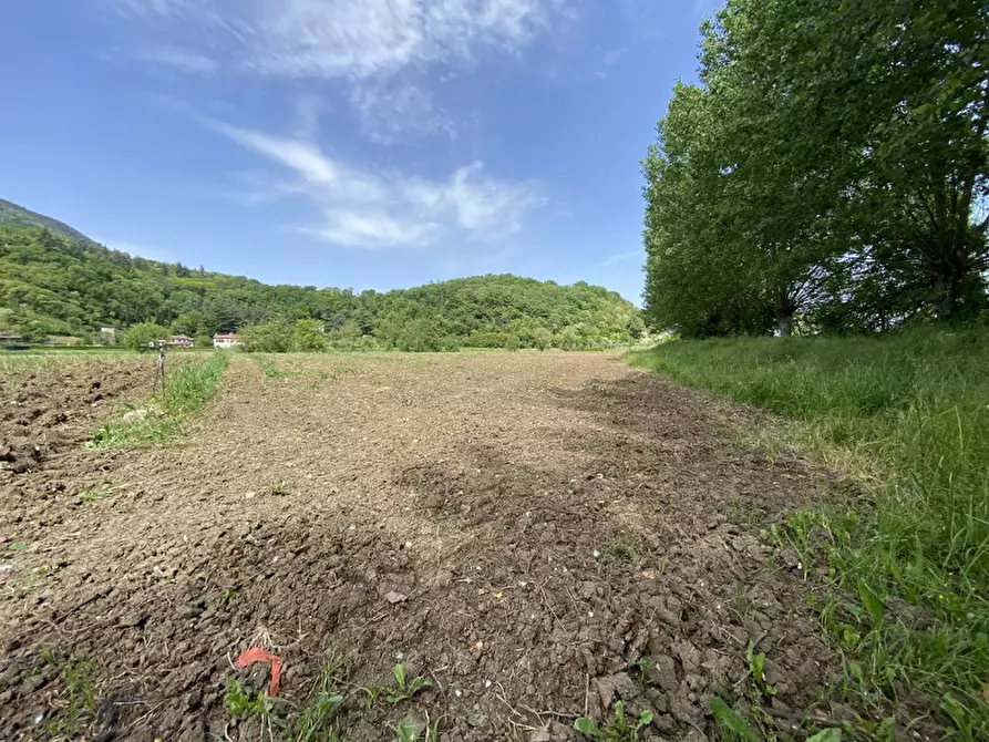 Immagine 7 di Terreno in vendita  a Teolo