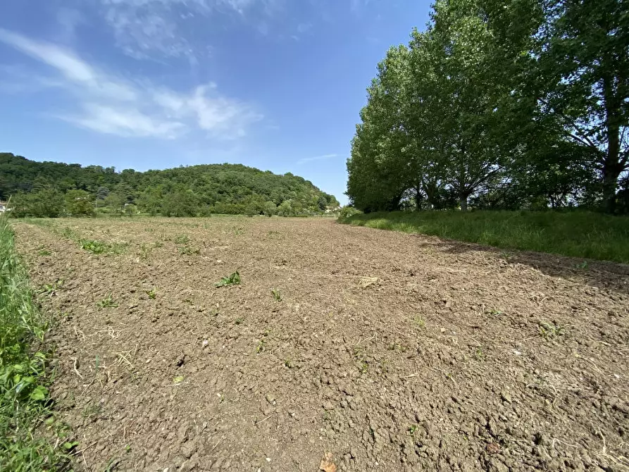 Immagine 8 di Terreno in vendita  a Teolo