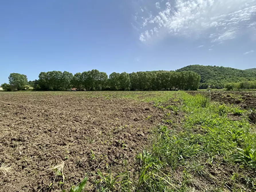 Immagine 8 di Terreno in vendita  a Teolo