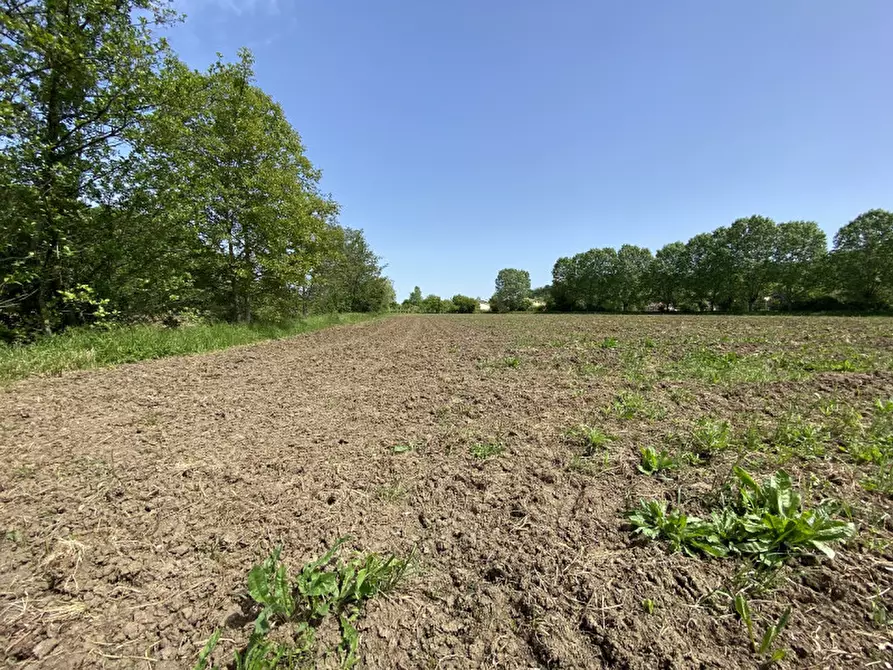 Immagine 9 di Terreno in vendita  a Teolo