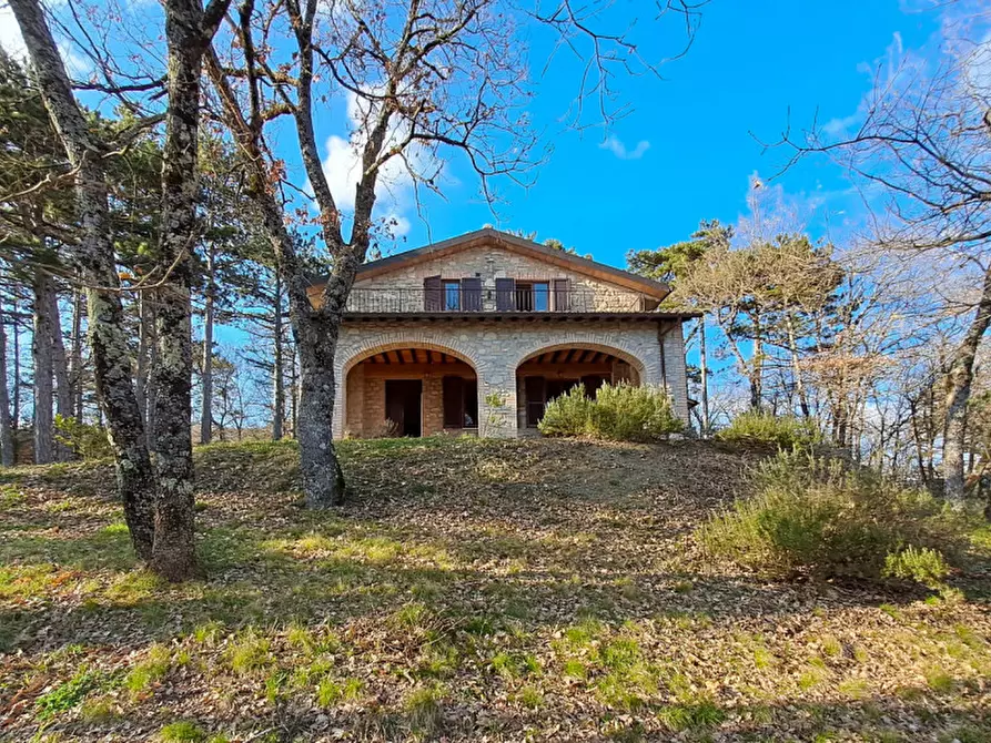 Immagine 1 di Villa in vendita  a Tuoro Sul Trasimeno