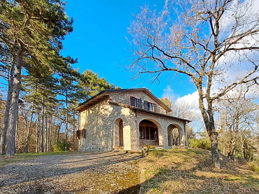 Immagine 2 di Villa in vendita  a Tuoro Sul Trasimeno