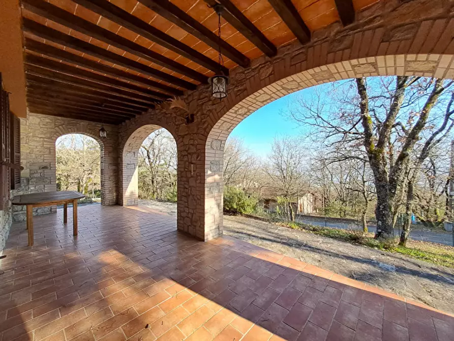 Immagine 3 di Villa in vendita  a Tuoro Sul Trasimeno
