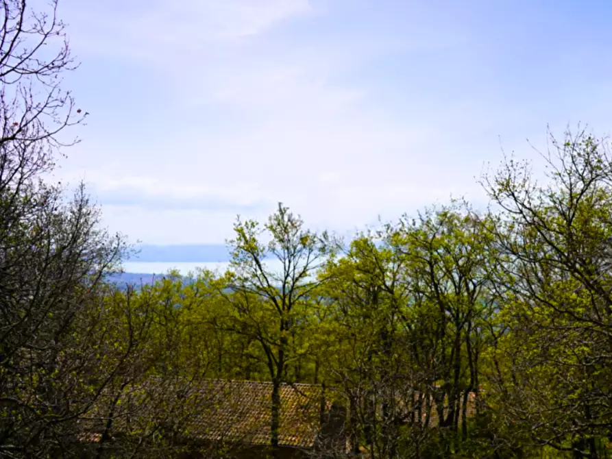 Immagine 8 di Villa in vendita  a Tuoro Sul Trasimeno