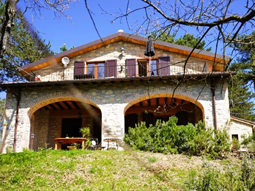 Immagine 9 di Villa in vendita  a Tuoro Sul Trasimeno