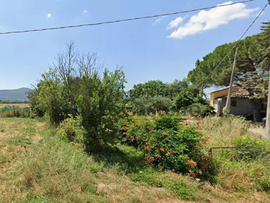 Immagine 19 di Appartamento in vendita  in Via Santa Maria a Castiglione Del Lago