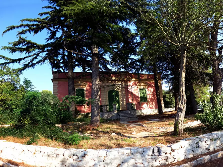 Immagine 3 di Villa in vendita  a Fasano