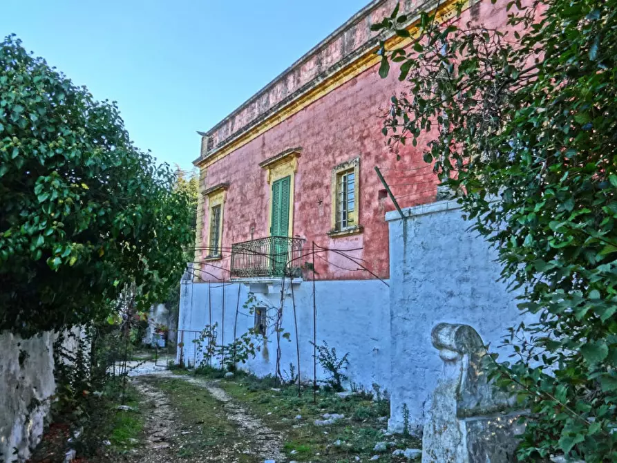 Immagine 6 di Villa in vendita  a Fasano