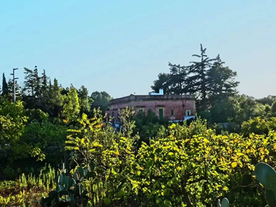 Immagine 31 di Villa in vendita  a Fasano