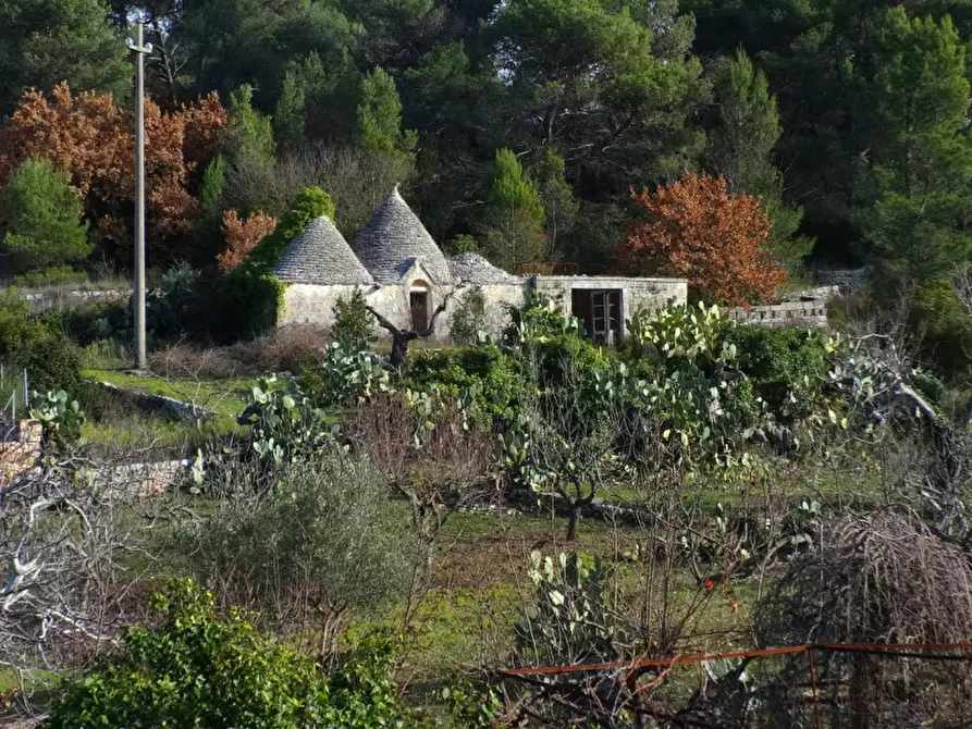 Immagine 32 di Villa in vendita  a Fasano