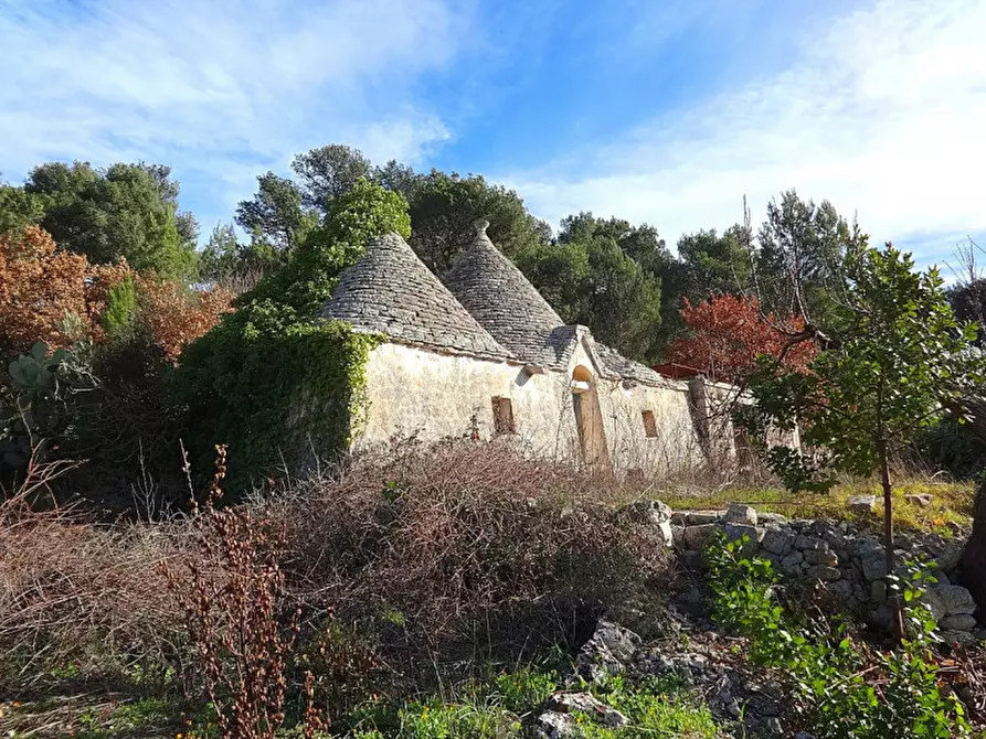 Immagine 33 di Villa in vendita  a Fasano