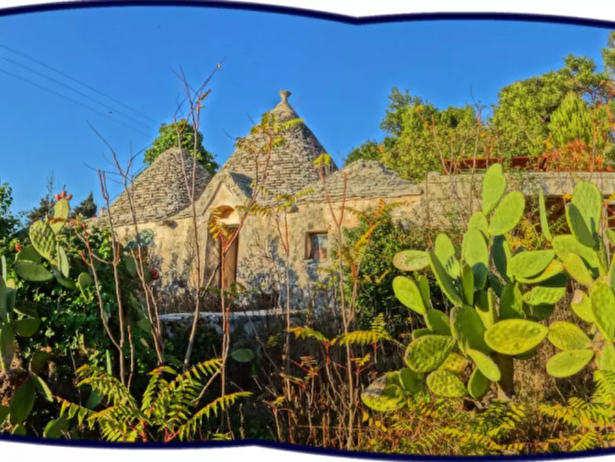 Immagine 34 di Villa in vendita  a Fasano