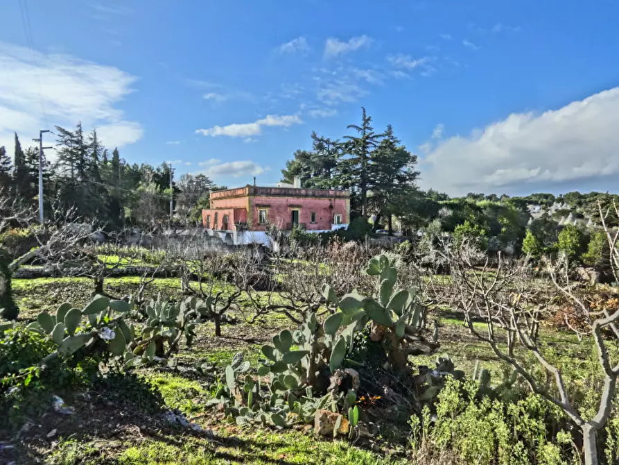 Immagine 36 di Villa in vendita  a Fasano