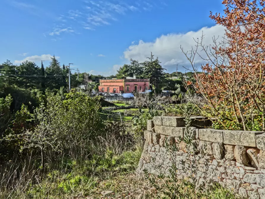 Immagine 37 di Villa in vendita  a Fasano