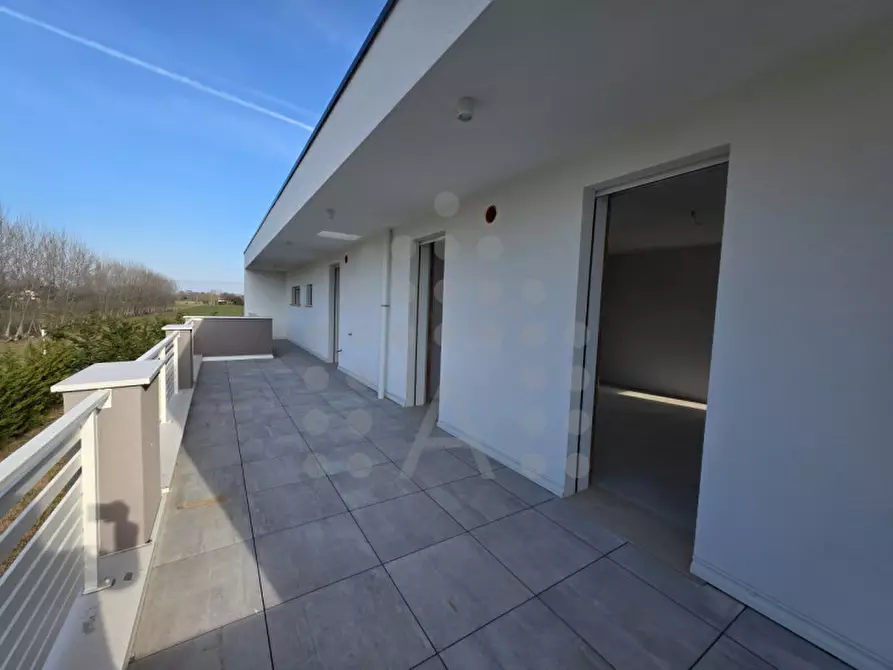 Immagine 5 di Villa in vendita  in Via San Lorenzo a Abano Terme