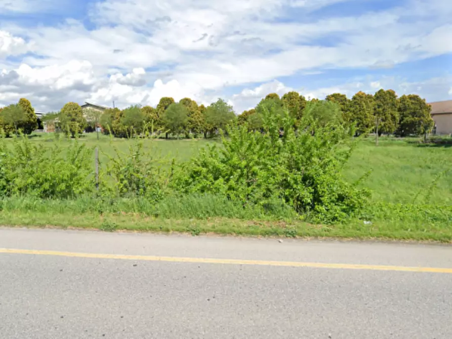 Immagine 3 di Terreno in vendita  in Strada Castiglione a Medole