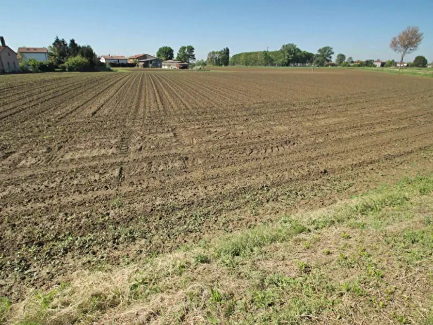 Immagine 1 di Terreno in vendita  a Santa Maria Di Sala