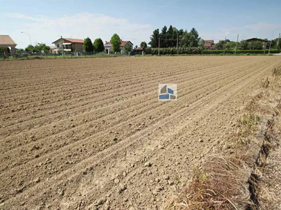 Immagine 1 di Terreno in vendita  a Santa Maria Di Sala