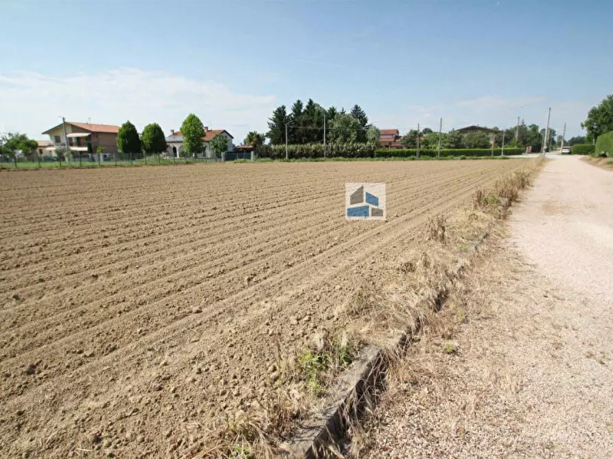 Immagine 2 di Terreno in vendita  a Santa Maria Di Sala