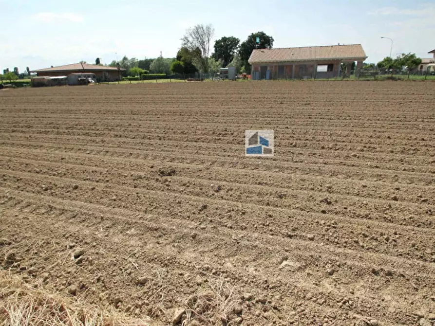 Immagine 3 di Terreno in vendita  a Santa Maria Di Sala