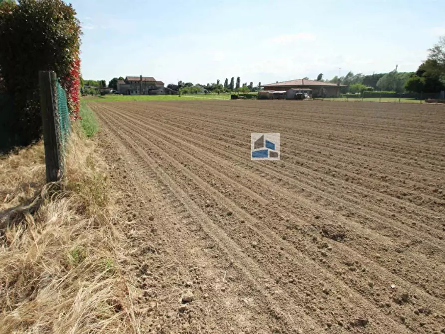 Immagine 4 di Terreno in vendita  a Santa Maria Di Sala
