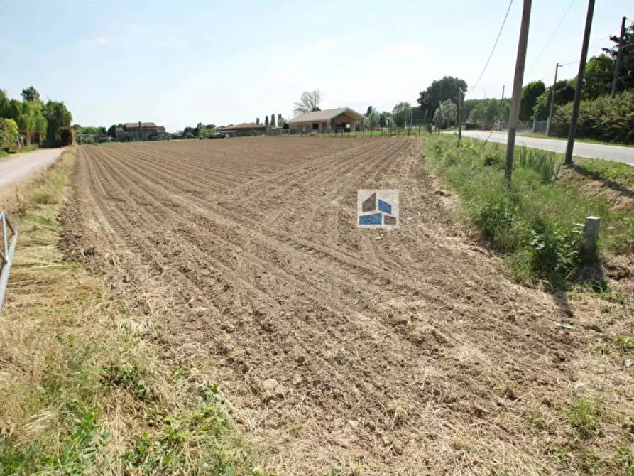 Immagine 6 di Terreno in vendita  a Santa Maria Di Sala