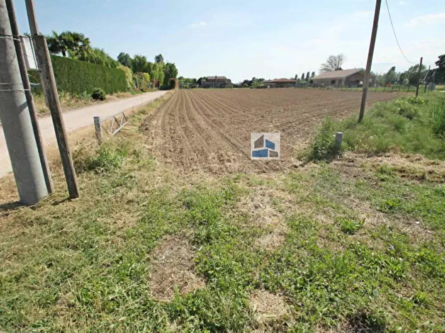 Immagine 7 di Terreno in vendita  a Santa Maria Di Sala