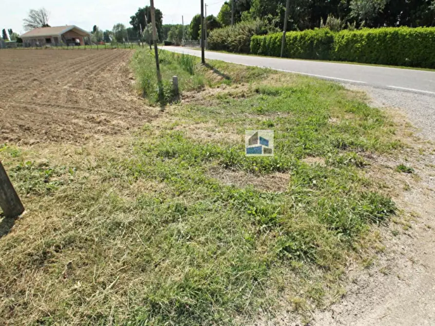 Immagine 8 di Terreno in vendita  a Santa Maria Di Sala