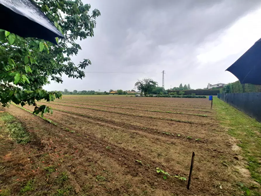 Immagine 1 di Terreno in vendita  in VICINANZE VIA CAPRICCIO VIGONZA/STRA a Stra