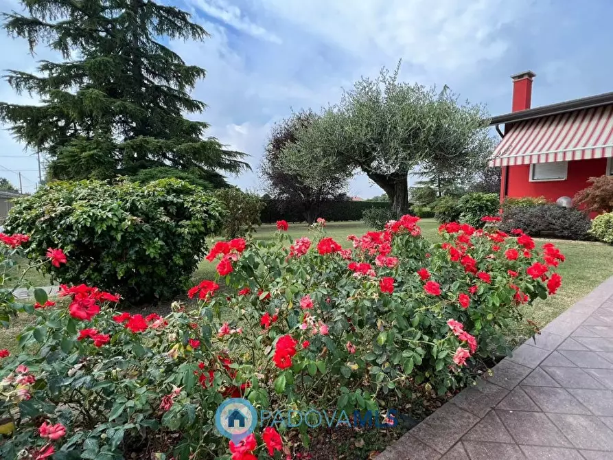 Immagine 1 di Villa in vendita  in VIA NUOVA, 130 a Anguillara Veneta