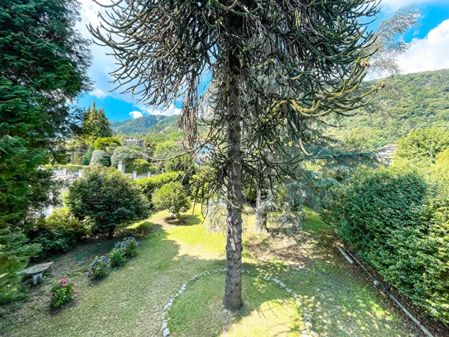 Immagine 27 di Villa in vendita  in Pietro Durio, 111 a Pella