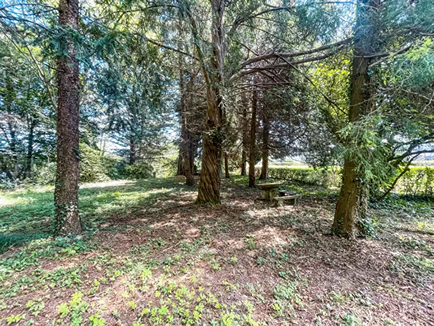 Immagine 38 di Villa in vendita  in Pietro Durio, 111 a Pella