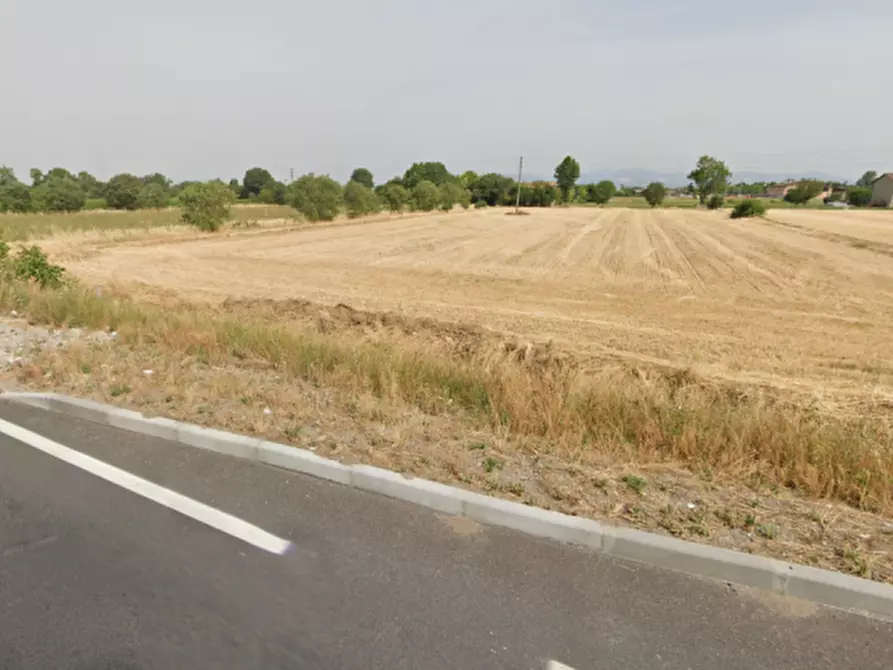 Immagine 5 di Terreno in vendita  in via sant'antonio a Montichiari