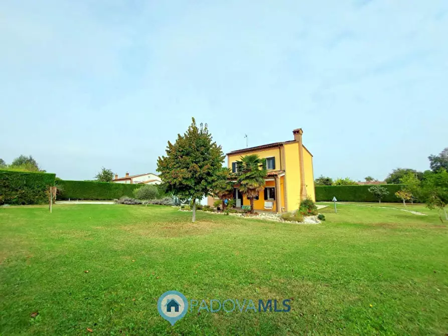 Immagine 1 di Villa in vendita  in Via Argine a Tribano