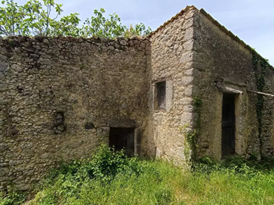 Immagine 2 di Rustico / casale in vendita  in via sant'angelo a Arpino