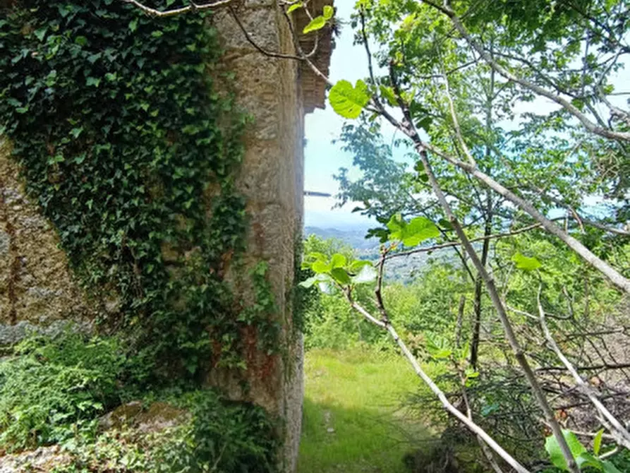 Immagine 3 di Rustico / casale in vendita  in via sant'angelo a Arpino