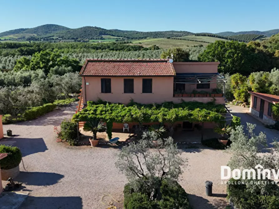 Immagine 1 di Rustico / casale in vendita  in Pescia Fiorentina a Capalbio
