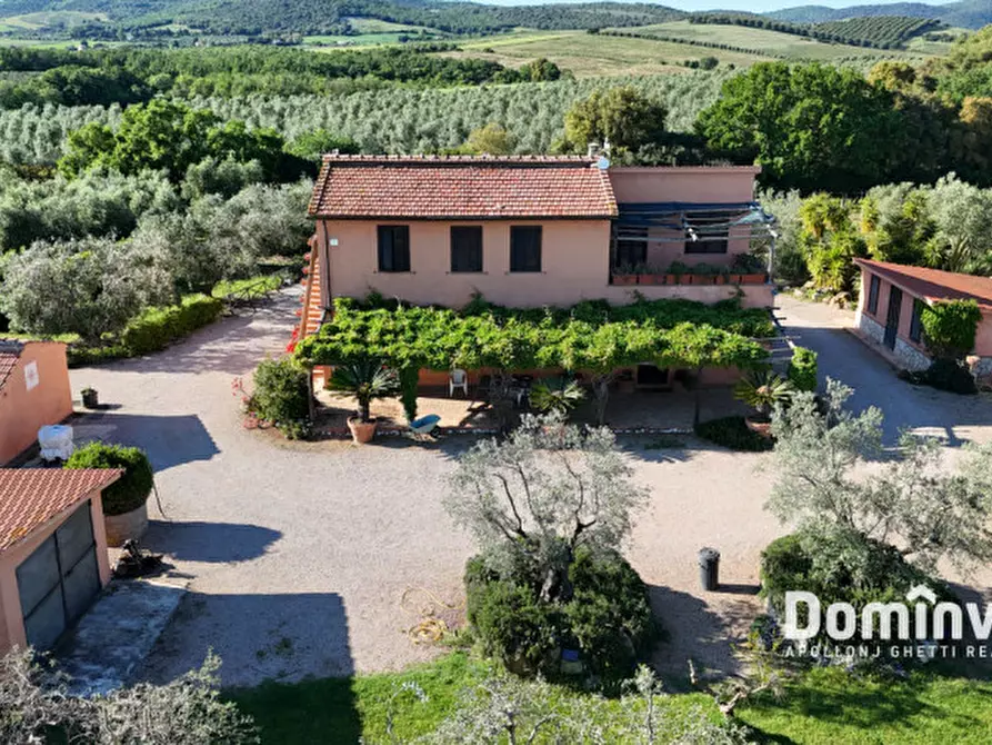 Immagine 2 di Rustico / casale in vendita  in Pescia Fiorentina a Capalbio