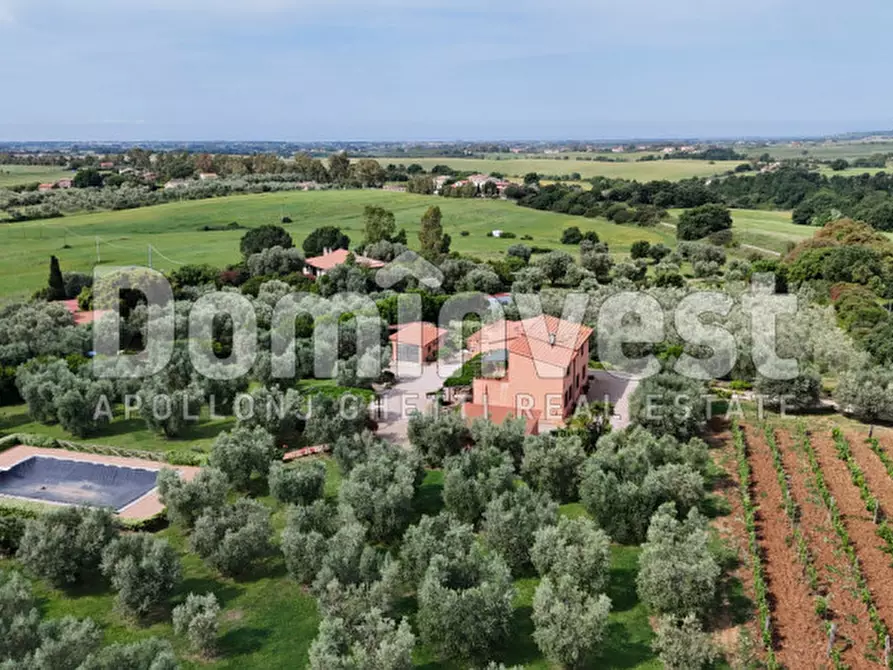Immagine 3 di Rustico / casale in vendita  in Pescia Fiorentina a Capalbio