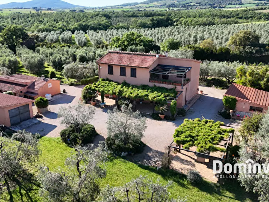 Immagine 3 di Rustico / casale in vendita  in Pescia Fiorentina a Capalbio