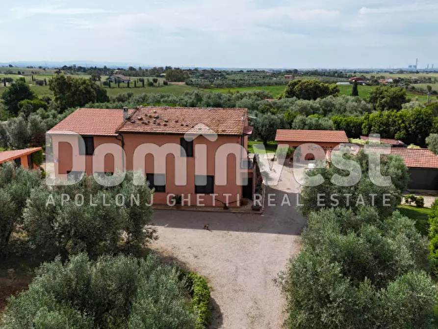 Immagine 4 di Rustico / casale in vendita  in Pescia Fiorentina a Capalbio