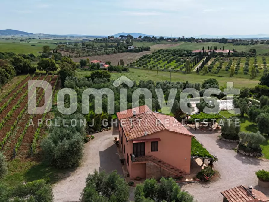 Immagine 5 di Rustico / casale in vendita  in Pescia Fiorentina a Capalbio