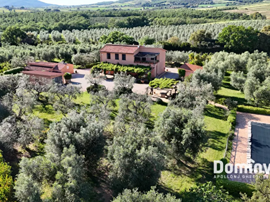 Immagine 5 di Rustico / casale in vendita  in Pescia Fiorentina a Capalbio