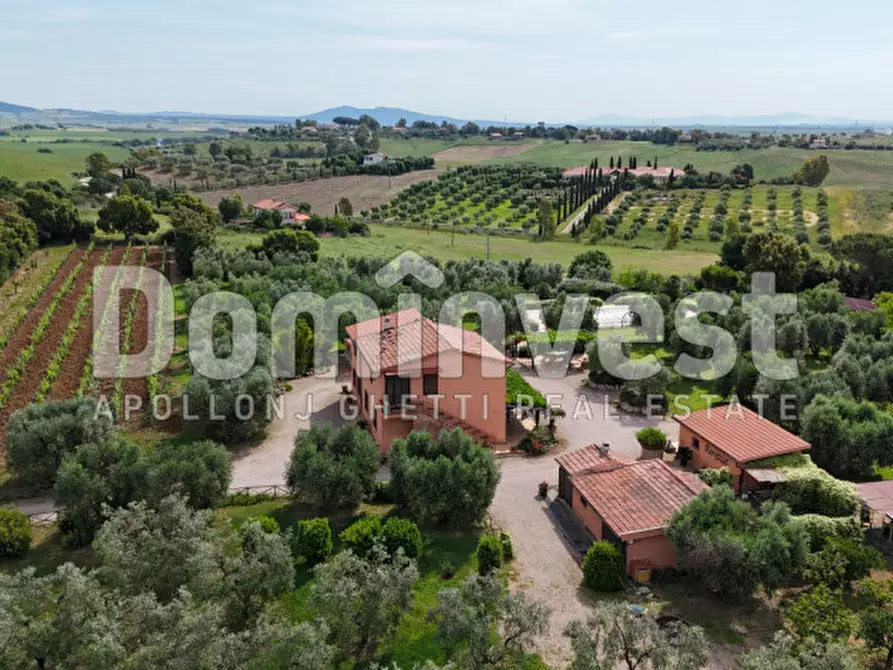 Immagine 6 di Rustico / casale in vendita  in Pescia Fiorentina a Capalbio