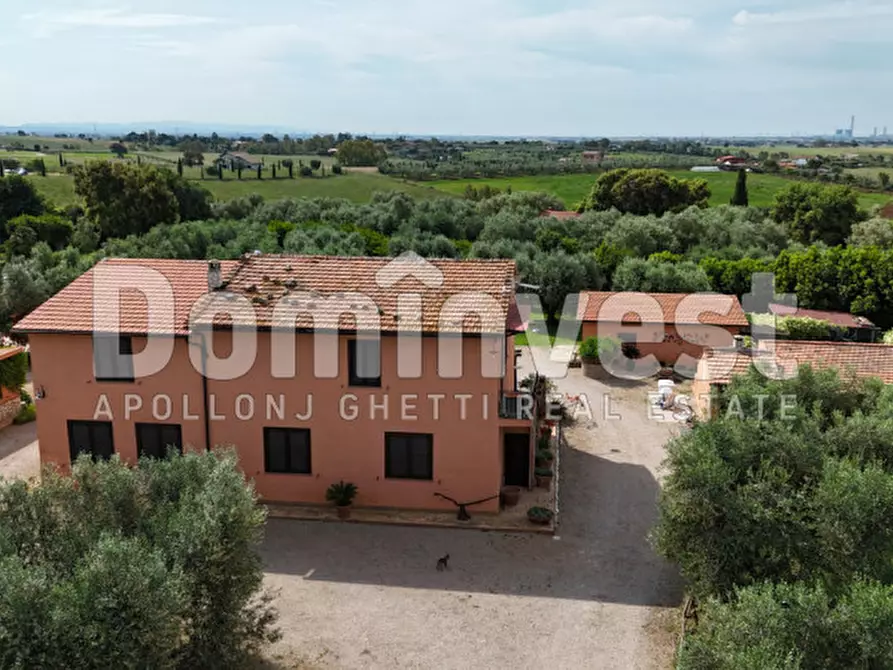 Immagine 7 di Rustico / casale in vendita  in Pescia Fiorentina a Capalbio