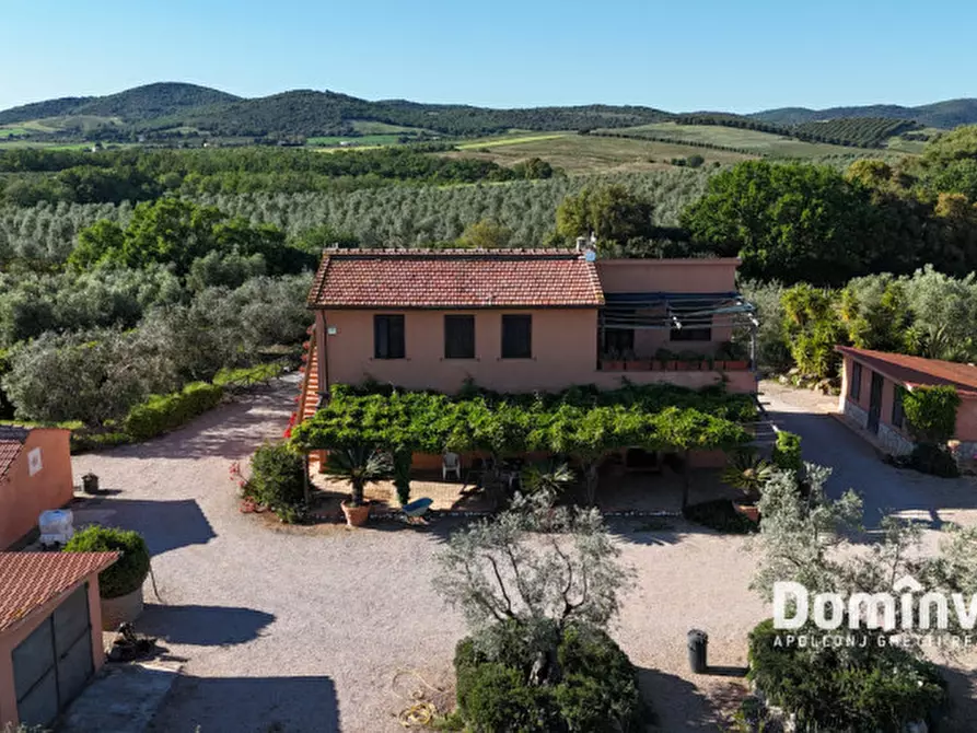 Immagine 8 di Rustico / casale in vendita  in Pescia Fiorentina a Capalbio