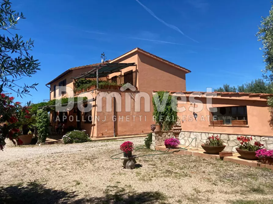 Immagine 8 di Rustico / casale in vendita  in Pescia Fiorentina a Capalbio