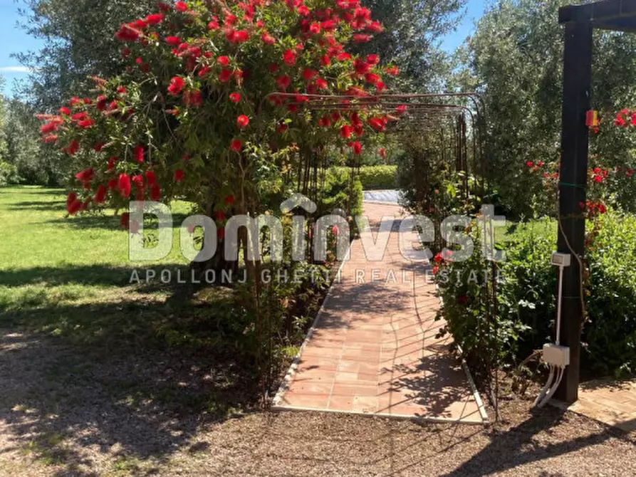 Immagine 9 di Rustico / casale in vendita  in Pescia Fiorentina a Capalbio